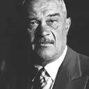 Alphonse Jungers