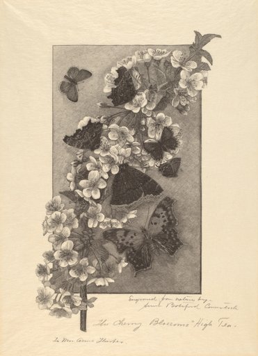 Portrait of Anna Botsford Comstock