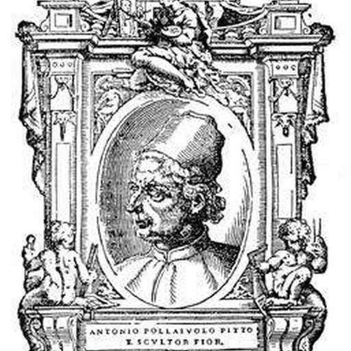 Portrait of Antonio del Pollaiuolo