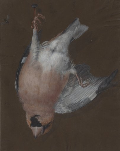 Portrait of Barbara Dietzsch