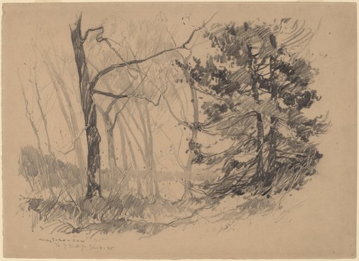 Portrait of Charles H. Woodbury