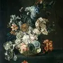 Cornelia van der Mijn
