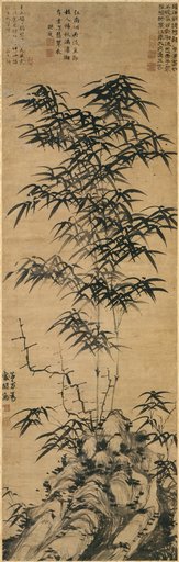 Deng Yu