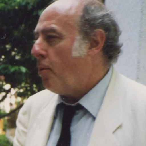 Portrait of Eduardo Arroyo