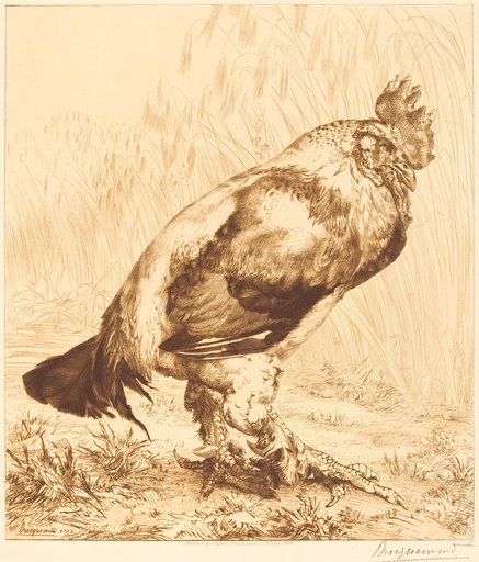 Félix Bracquemond