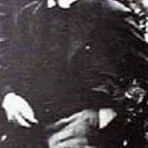 Portrait of Félix Pissarro
