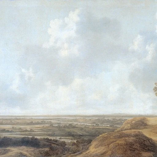 Portrait of François van Knibbergen