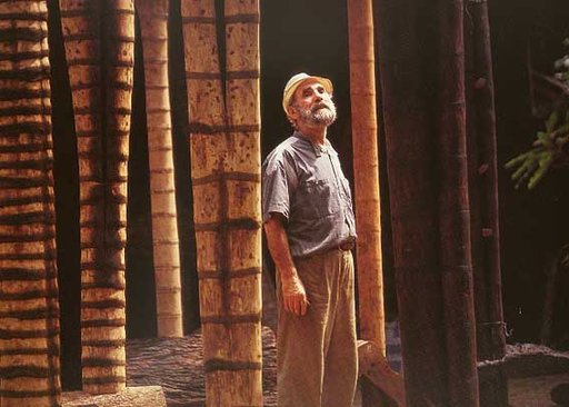 Portrait of Frans Krajcberg