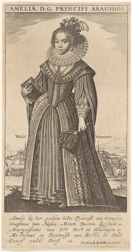 Portrait of Frederik de Wit