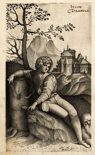 Portrait of Giulio Campagnola