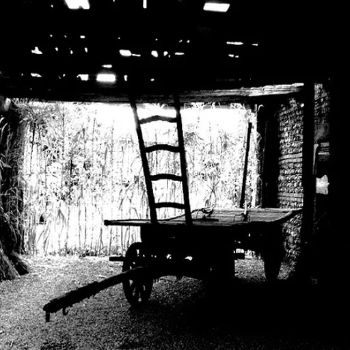 Portrait of Harry Bertoia