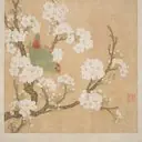 Huang Jucai