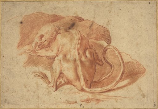 Portrait of Italian 16th/17th Century