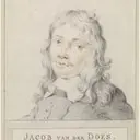 Jacob van der Does