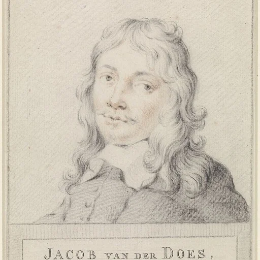 Portrait of Jacob van der Does