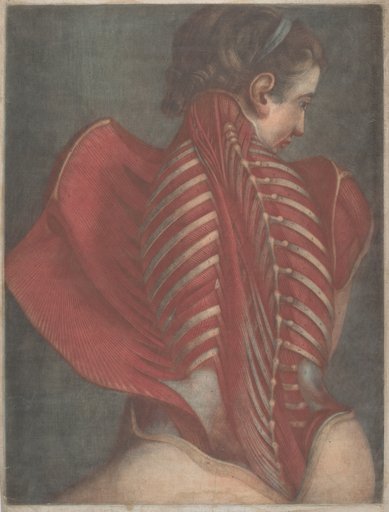 Portrait of Jacques-Fabien Gautier Dagoty