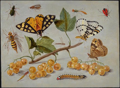 Jan van Kessel the Elder