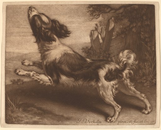 Portrait of Jan Verkolje I