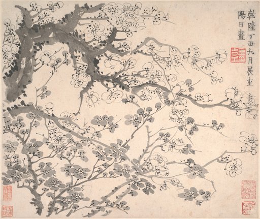 Jin Nong