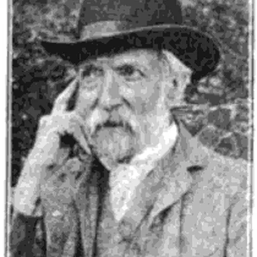 Portrait of Joseph Swain