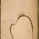 Kaihō Yūshō