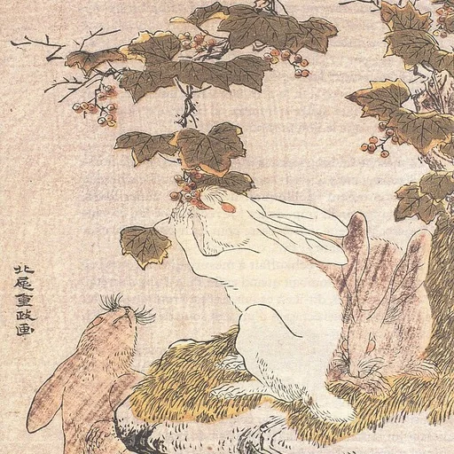 Portrait of Kitao Shigemasa