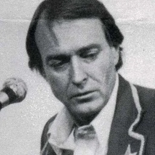 Portrait of Llyn Foulkes