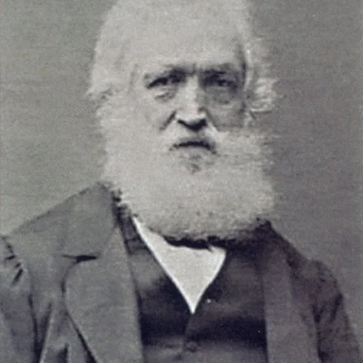 Portrait of Louis Buvelot