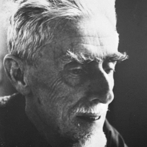 Portrait of M. C. Escher