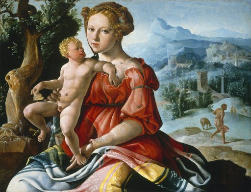 Portrait of Maerten van Heemskerck