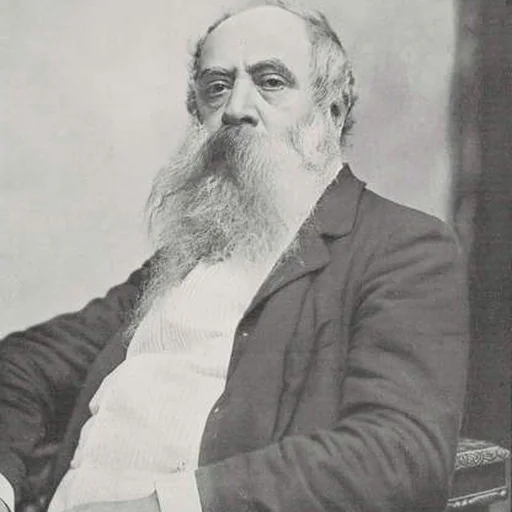 Portrait of Mosè Bianchi