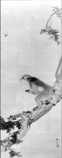 Okamoto Toyohiko