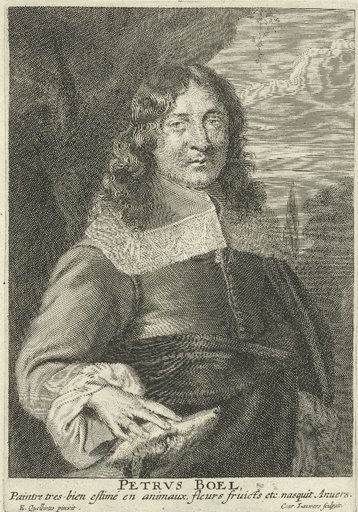 Pieter Boel