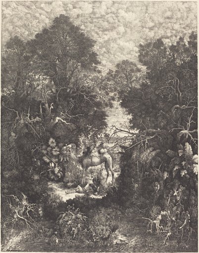 Portrait of Rodolphe Bresdin