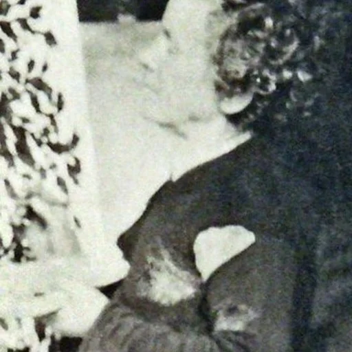 Portrait of Séraphine Louis