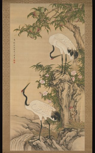 Shen Quan
