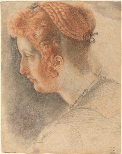 Portrait of Sigismondo Coccapani