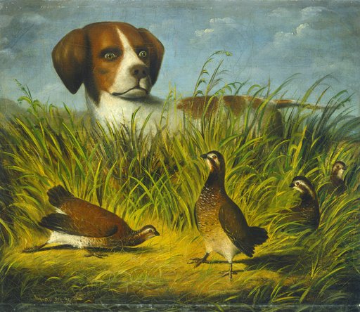 Portrait of Stouter, D.G.