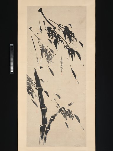 Portrait of Taihō Shōkon