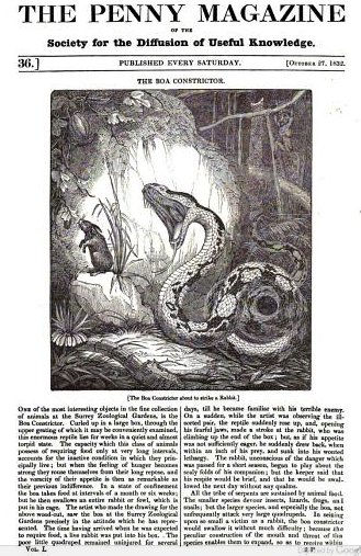 Portrait of The Penny Magazine