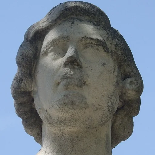 Portrait of Théodore Caruelle d'Aligny