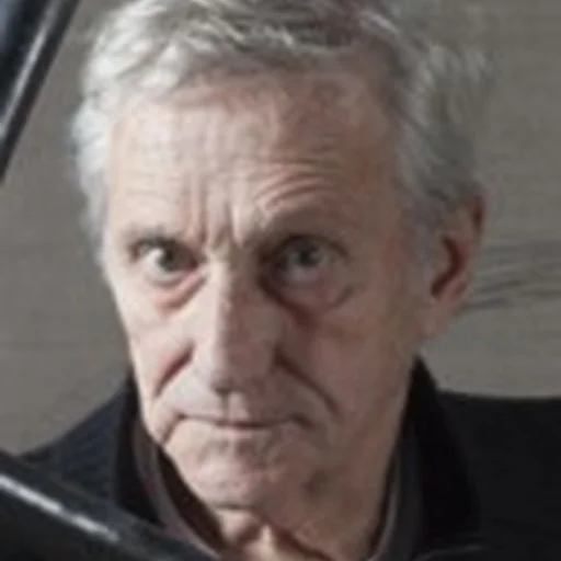 Portrait of Vladimir Velickovic
