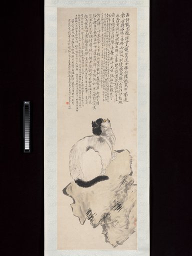 Wang Li