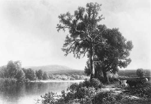 William Hart