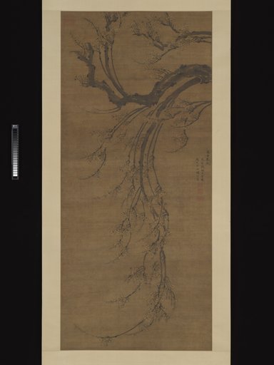 Zhang You