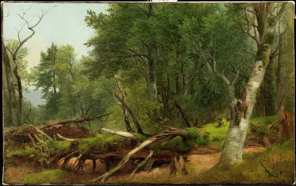 Forest Scene in the Catskills, by Asher Brown Durand