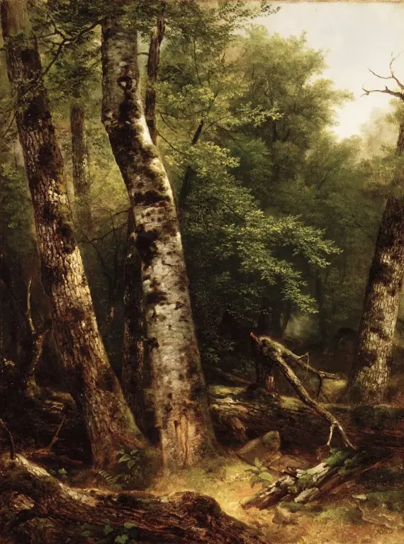 Landscape (Birch and Oaks), by Asher Brown Durand