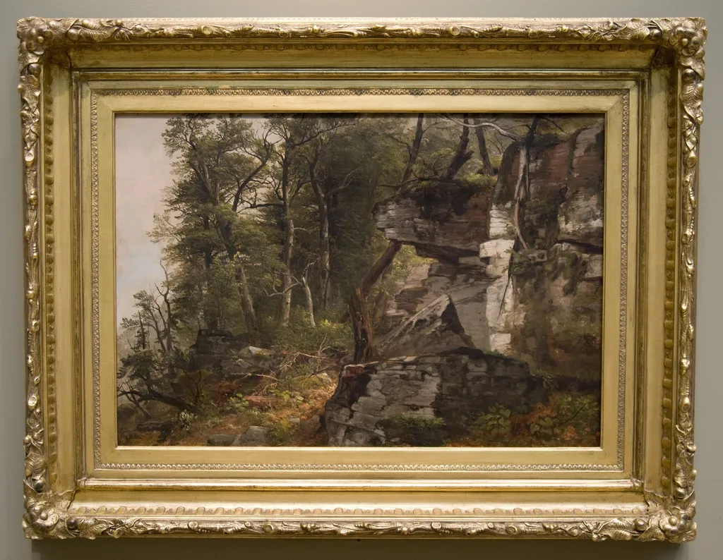 Trees on a Rocky Hillside