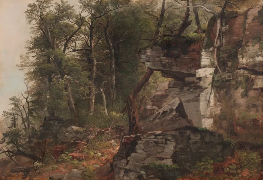 Trees on a Rocky Hillside, by Asher Brown Durand, unspecified, 1849
