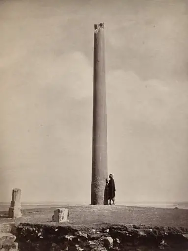 Ashoka Pillar moved to its present position by Feroz Shah